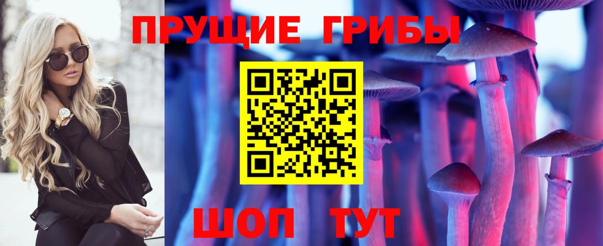 Галлюциногенные грибы прущие грибы Владивосток